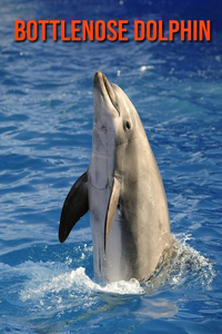 Bottlenose Dolphin