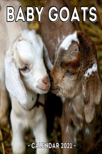 Baby Goats Calendar 2021