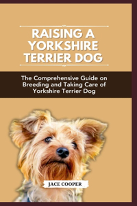 Yorkshire Terrier Dog