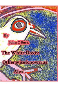 The White Dove