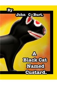 A Black Cat Named Custard.