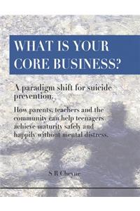 What is your core business?