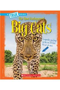 Big Cats