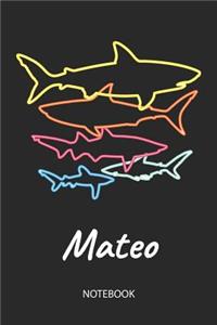 Mateo - Notebook