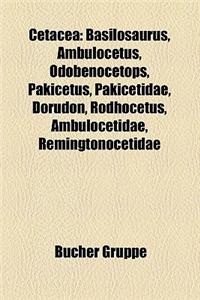 Cetacea: Basilosaurus, Ambulocetus, Odobenocetops, Pakicetus, Pakicetidae, Dorudon, Rodhocetus, Ambulocetidae, Remingtonocetida