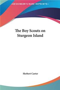 Boy Scouts on Sturgeon Island