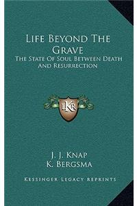 Life Beyond The Grave