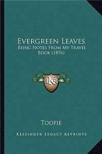 Evergreen Leaves