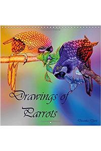 Drawings of Parrots 2017