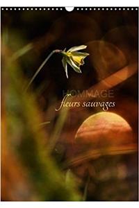 Hommage Fleurs Sauvages 2018