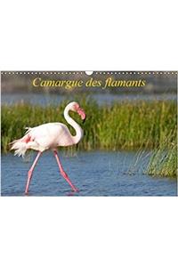 Camargue Des Flamants 2018