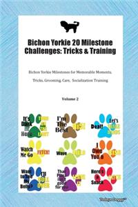 Bichon Yorkie 20 Milestone Challenges