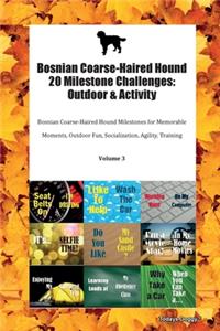 Bosnian Coarse-Haired Hound 20 Milestone Challenges
