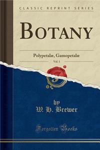 Botany, Vol. 1: Polypetalï¿½, Gamopetalï¿½ (Classic Reprint)