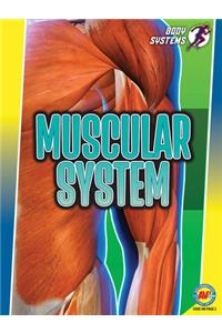 Muscular System