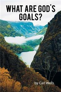 What Are God's Goals?