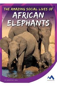 The Amazing Social Lives of African Elephants