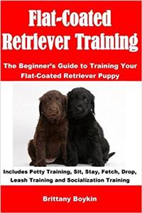 Flat-coated Retriever Training: The Beginners Guide to Training Your Flat-coated Retriever Puppy