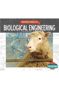 Amazing Feats of Biological Engineering