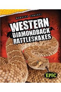 Western Diamondback Rattlesnakes