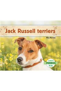 Jack Russell Terriers (Jack Russell Terriers) (Spanish Version)