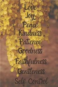 Love Joy Peace Kindness Patience Goodness Faithfulness Gentleness Self Control