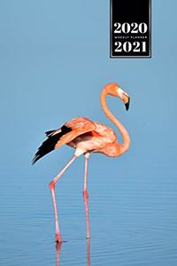 Flamingo Bird Watching Week Planner Weekly Organizer Calendar 2020 / 2021 - In the Water