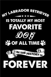 My Labrador Retriever Is Totally My Most Favorite Dog