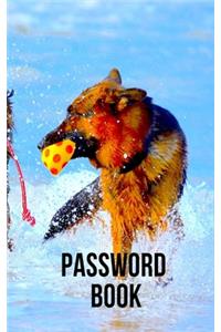 Password Book