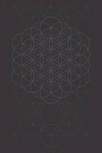 sacred geometry metatron cube flower of life