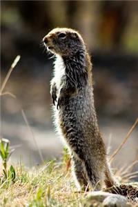 My Favorite Animal, Ground Squirrel Journal