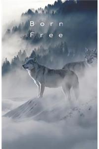 Born Free