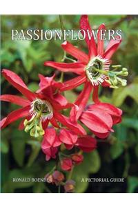 Passionflowers