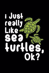 I Just Really Like Sea Turtles, Ok?