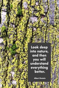 Look Deep Into Nature, and Then You Will Understand Everything Better. Albert Einstein