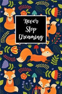 Never Stop Dreaming