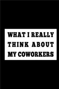 What I Really Think about My Coworkers