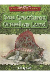 Sea Creatures Crawl on Land