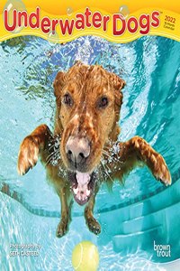 Underwater Dogs 2022 Mini