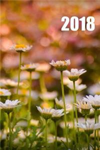 2018 Daisies Journal