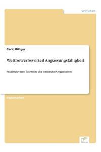Wettbewerbsvorteil Anpassungsfähigkeit