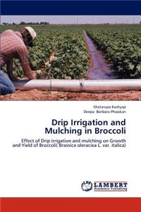 Drip Irrigation and Mulching in Broccoli