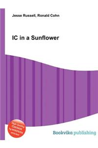 IC in a Sunflower