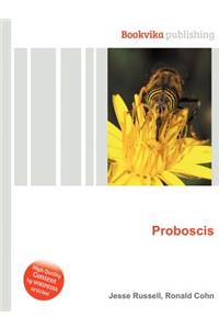 Proboscis