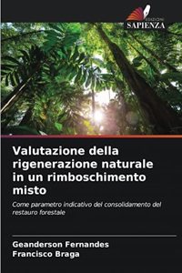 Valutazione della rigenerazione naturale in un rimboschimento misto