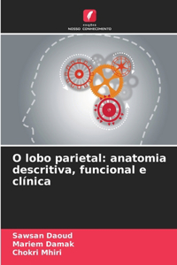 O lobo parietal