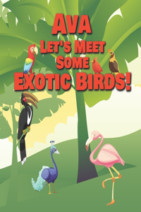 Ava Let's Meet Some Exotic Birds!