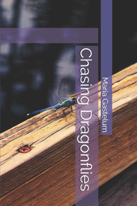 Chasing Dragonflies