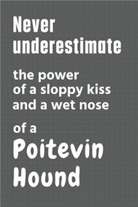 Never underestimate the power of a sloppy kiss and a wet nose of a Poitevin Hound