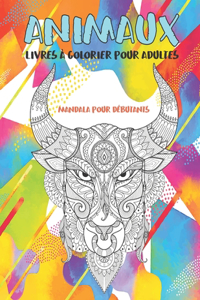 Livres à colorier pour adultes - Mandala pour débutants - Animaux